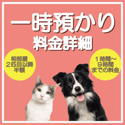 一時預かり料金詳細 相部屋2匹目以降半額 1時間〜9時間までの料金