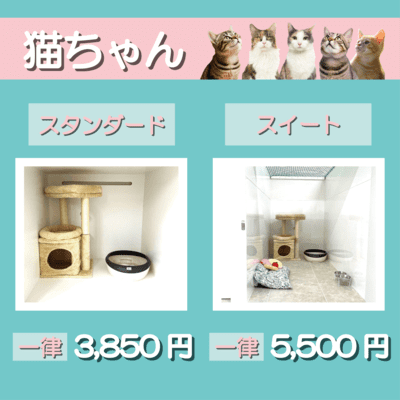 ペットホテル 猫ちゃん スタンダード 一律￥3,850 スイート 一律￥5,500