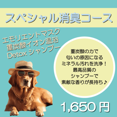 スペシャル消臭コース エモリエントマスク＋重炭酸イオン温浴＋Detoxシャンプー 1,650円