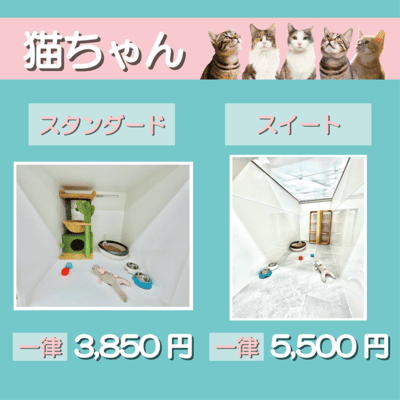 ペットホテル 猫ちゃん スタンダード 一律￥3,850 スイート 一律￥5,500