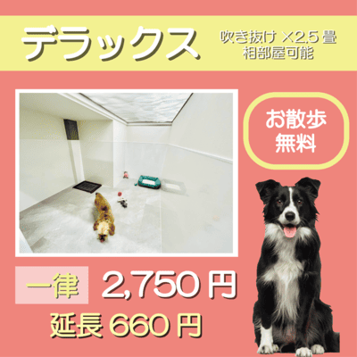 ペットホテル デラックス 吹き抜け2.5畳程 相部屋可能  一律￥2,750 延長￥660 お散歩無料
