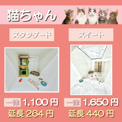 ペットホテル 猫ちゃん スタンダード 一律￥1,100  延長￥264 スイート 一律￥1,650  延長￥440