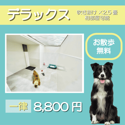 ペットホテル デラックス 吹き抜け2.5畳程 相部屋可能  一律￥8,800 お散歩無料