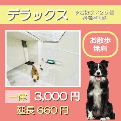 ペットホテル デラックス 吹き抜け2.5畳程 相部屋可能  一律￥3,000 延長￥660 お散歩無料