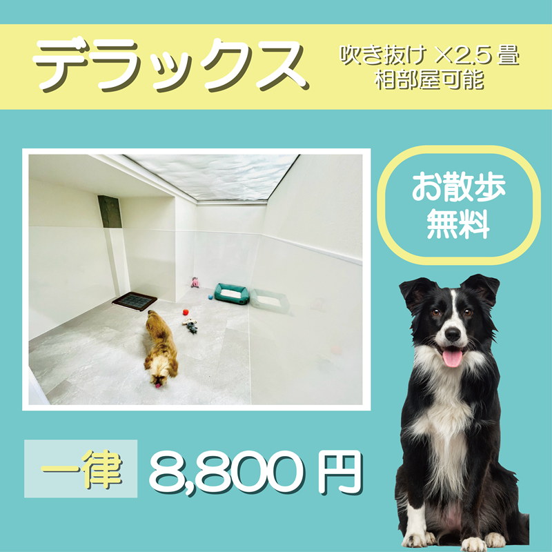 ペットホテル デラックス 吹き抜け2.5畳程 相部屋可能  一律￥8,800 お散歩無料