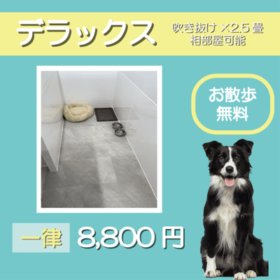 ペットホテル デラックス 吹き抜け2.5畳程 相部屋可能  一律￥8,800 お散歩無料