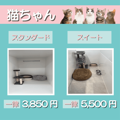 ペットホテル 猫ちゃん スタンダード 一律￥3,850 スイート 一律￥5,500