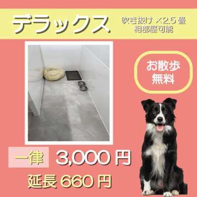 ペットホテル デラックス 吹き抜け2.5畳程 相部屋可能  一律￥3,000 延長￥660 お散歩無料