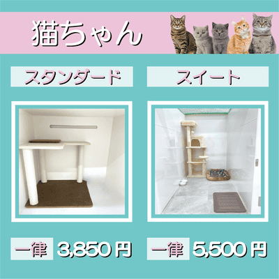 ペットホテル 猫ちゃん スタンダード 一律￥3,850 スイート 一律￥5,500
