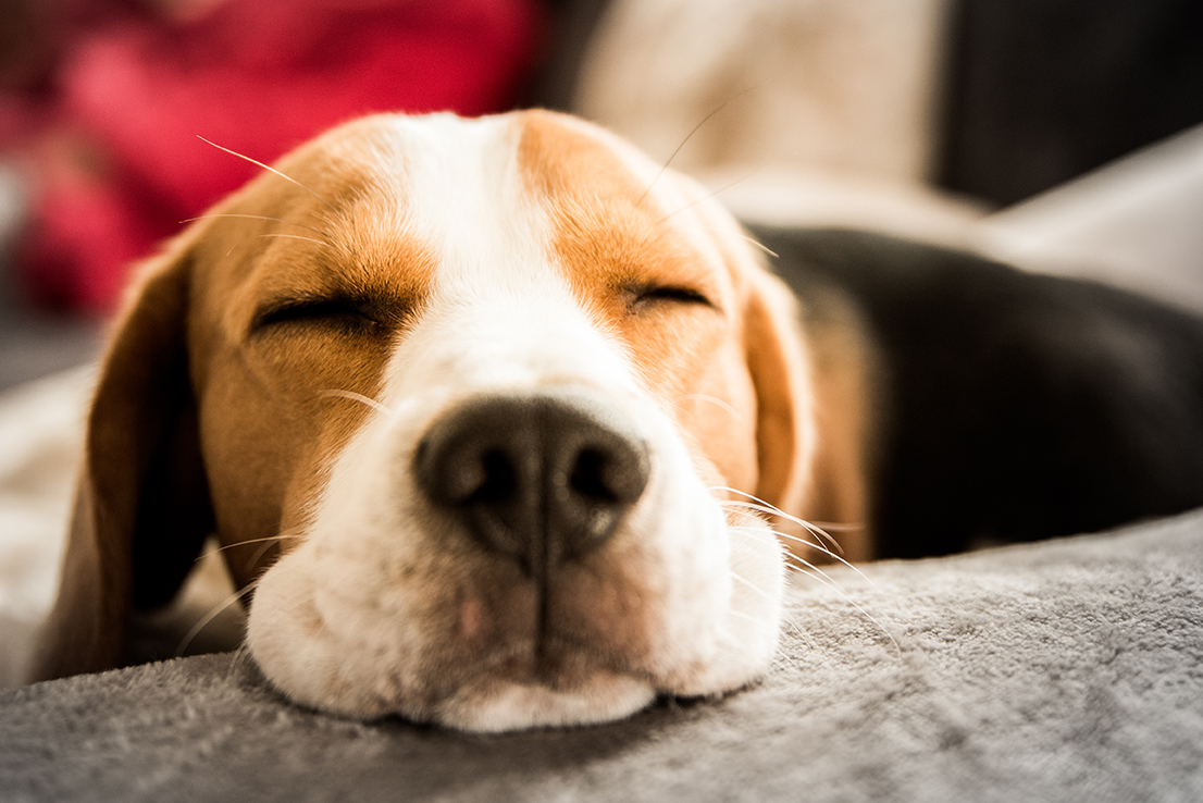 安心な帰る場所