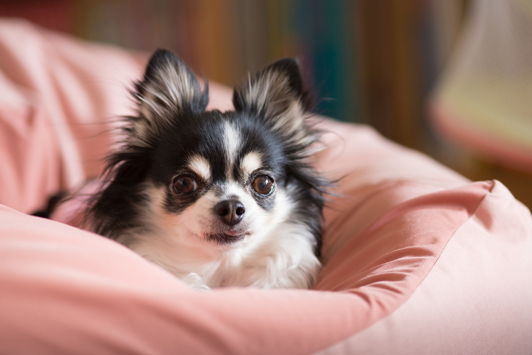 ホテルの見学以上のこと