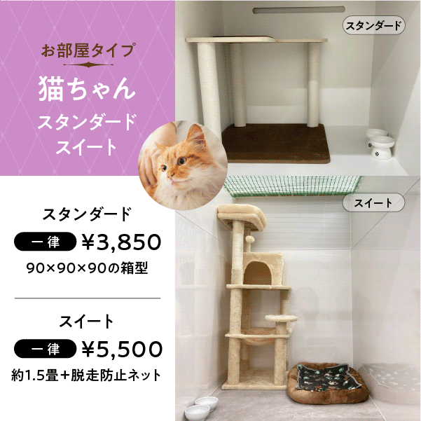 ペットホテル 猫ちゃん スタンダード 一律￥3,850 スイート 一律￥5,500