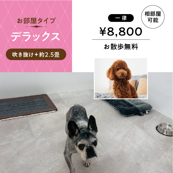 ペットホテル デラックス 吹き抜け2.5畳程 相部屋可能  一律￥8,800 お散歩無料