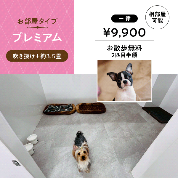 ペットホテル プレミアム 吹き抜け3.5畳程  一律￥9,900 お散歩無料