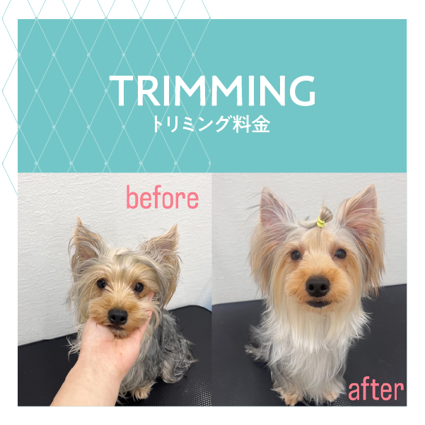 トリミング