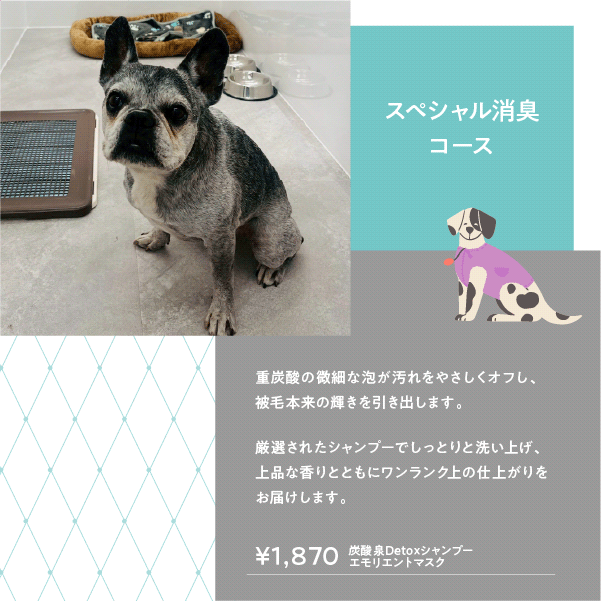 スペシャル消臭コース エモリエントマスク＋炭酸泉＋Detoxシャンプー 1,870円