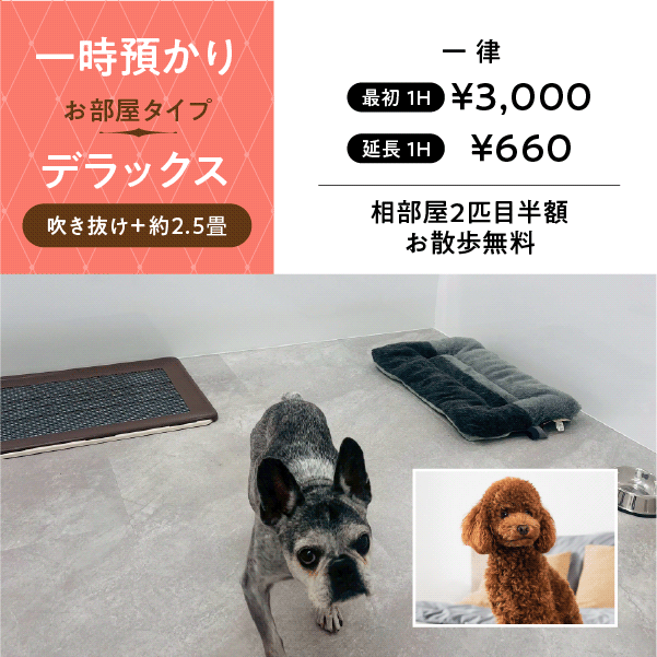 ペットホテル デラックス 吹き抜け2.5畳程 相部屋可能  一律￥3,000 延長￥660 お散歩無料