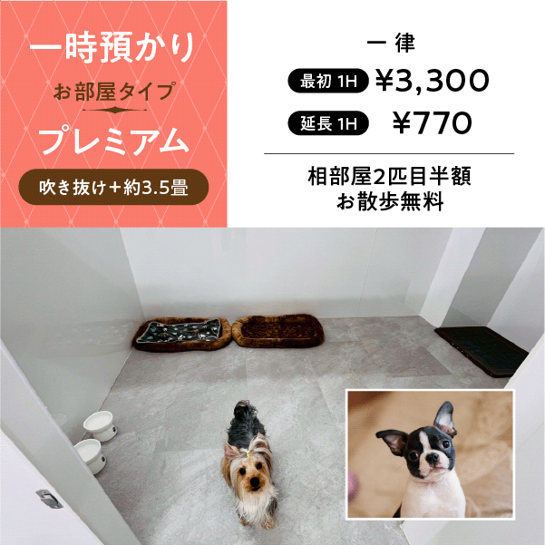 ペットホテル プレミアム 吹き抜け3.5畳程  一律￥3,300 延長￥770 お散歩無料