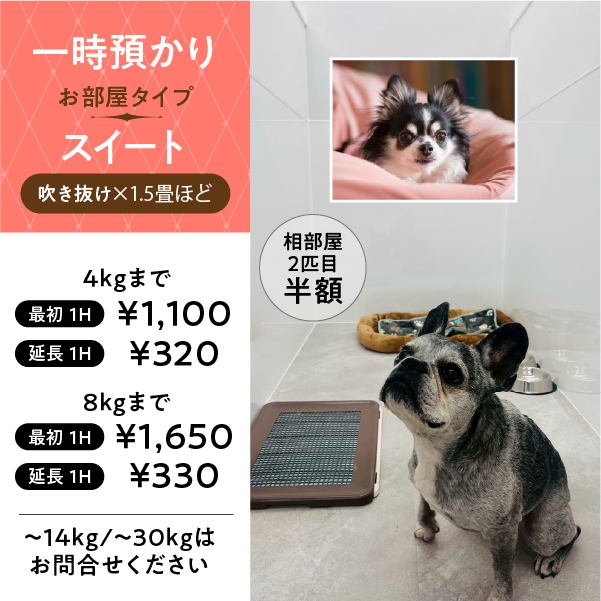 ペットホテル スイート 吹き抜け1.5畳程 相部屋2匹目半額 【4㎏まで】￥1,100 延長￥450 【8㎏まで】￥1,650  延長￥470【14㎏まで】￥2,150 延長￥550 【30㎏まで】￥2,750 延長￥616