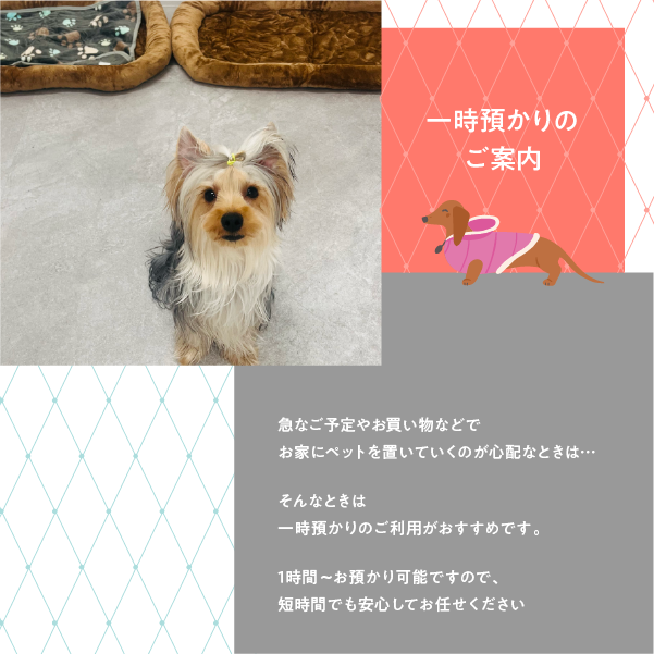 一時預かり料金詳細 相部屋2匹目以降半額 1時間〜9時間までの料金