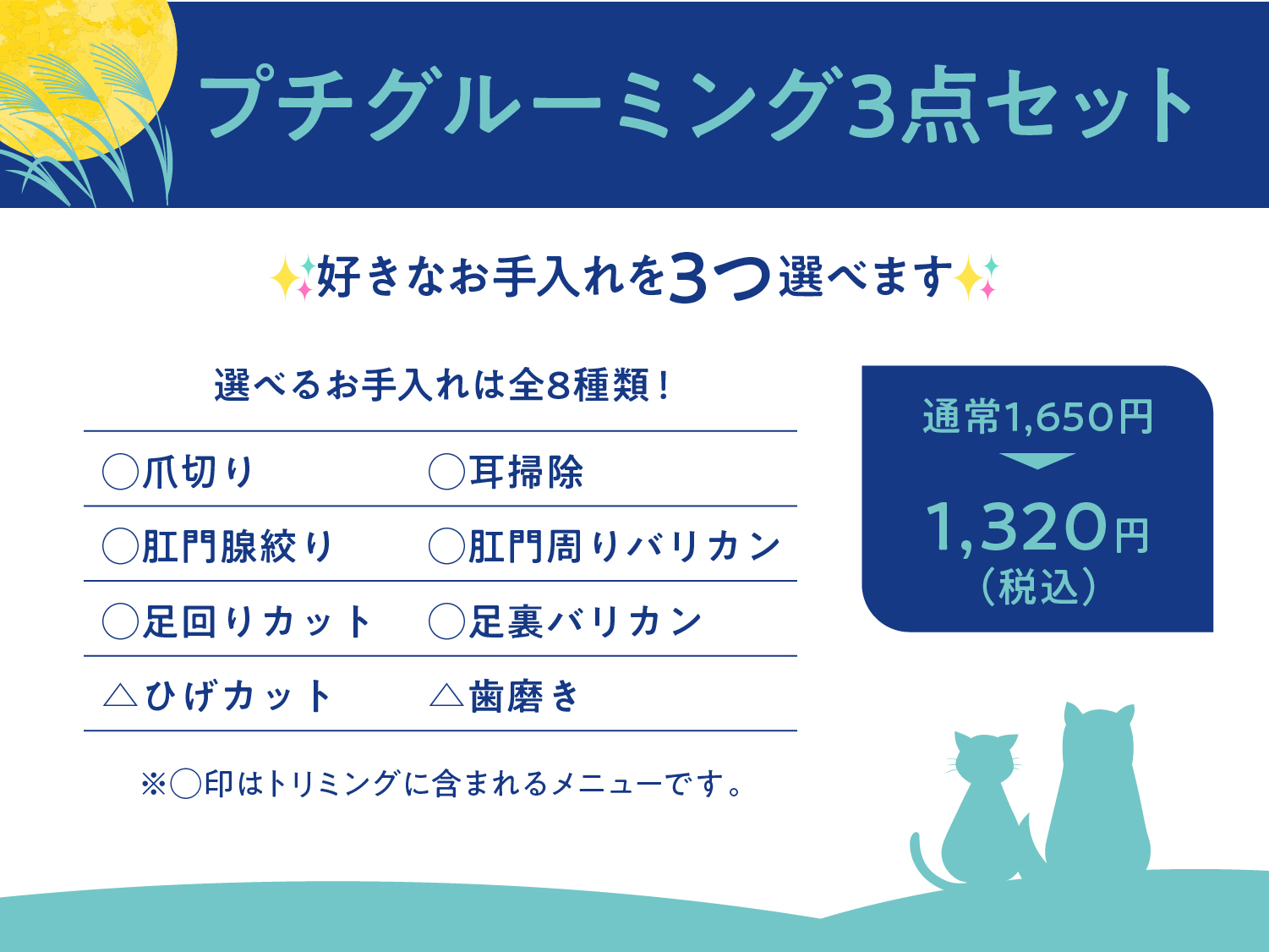 オプションバナー