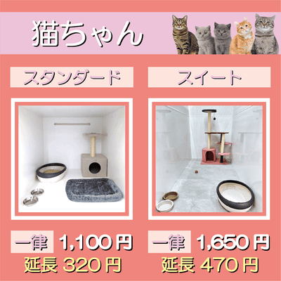 ペットホテル 猫ちゃん スタンダード 一律￥1,100  延長￥320 スイート 一律￥1,650  延長￥470