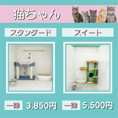 ペットホテル 猫ちゃん スタンダード 一律￥3,850 スイート 一律￥5,500