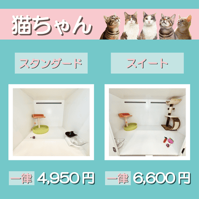 ペットホテル 猫ちゃん スタンダード 一律￥4,950 スイート 一律￥6,600