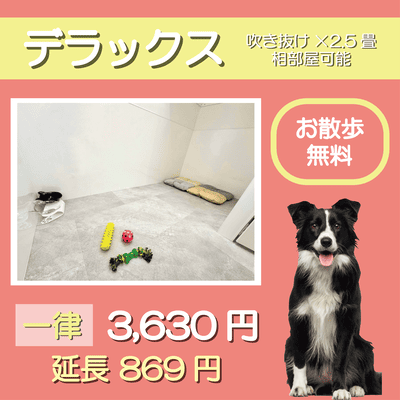 ペットホテル デラックス 吹き抜け2.5畳程 相部屋可能 お散歩無料 一律￥3,630 延長￥869