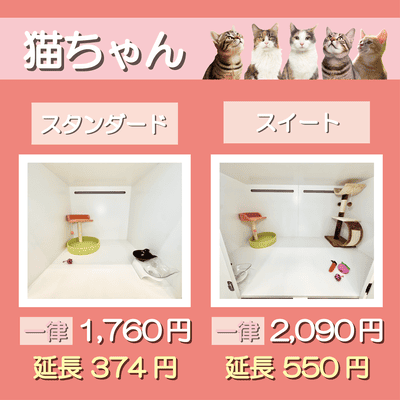 ペットホテル 猫ちゃん スタンダード 一律￥1,760  延長￥374 スイート 一律￥2,090  延長￥550