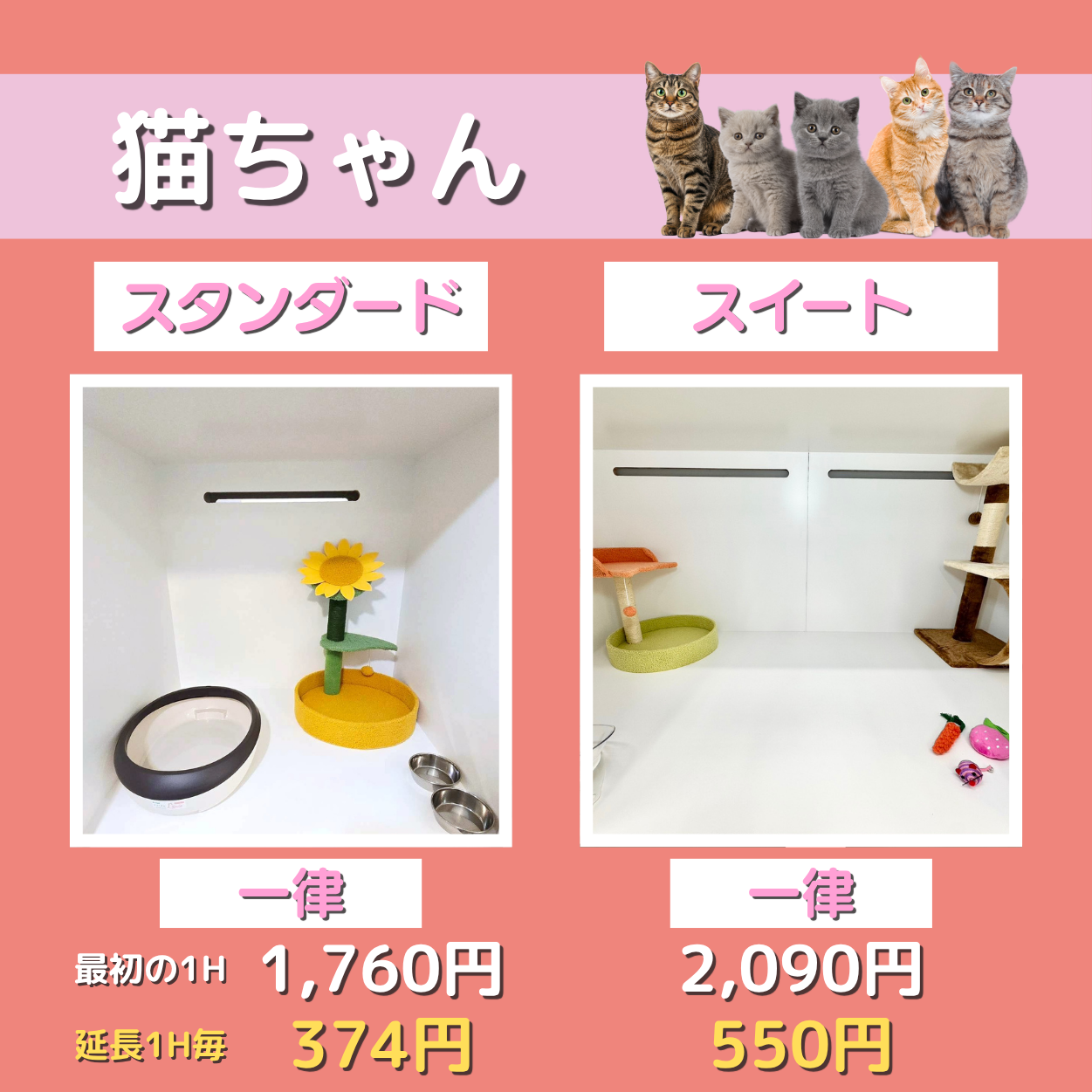 ペットホテル 猫ちゃん スタンダード 一律￥1,760  延長￥374 スイート 一律￥2,090  延長￥550