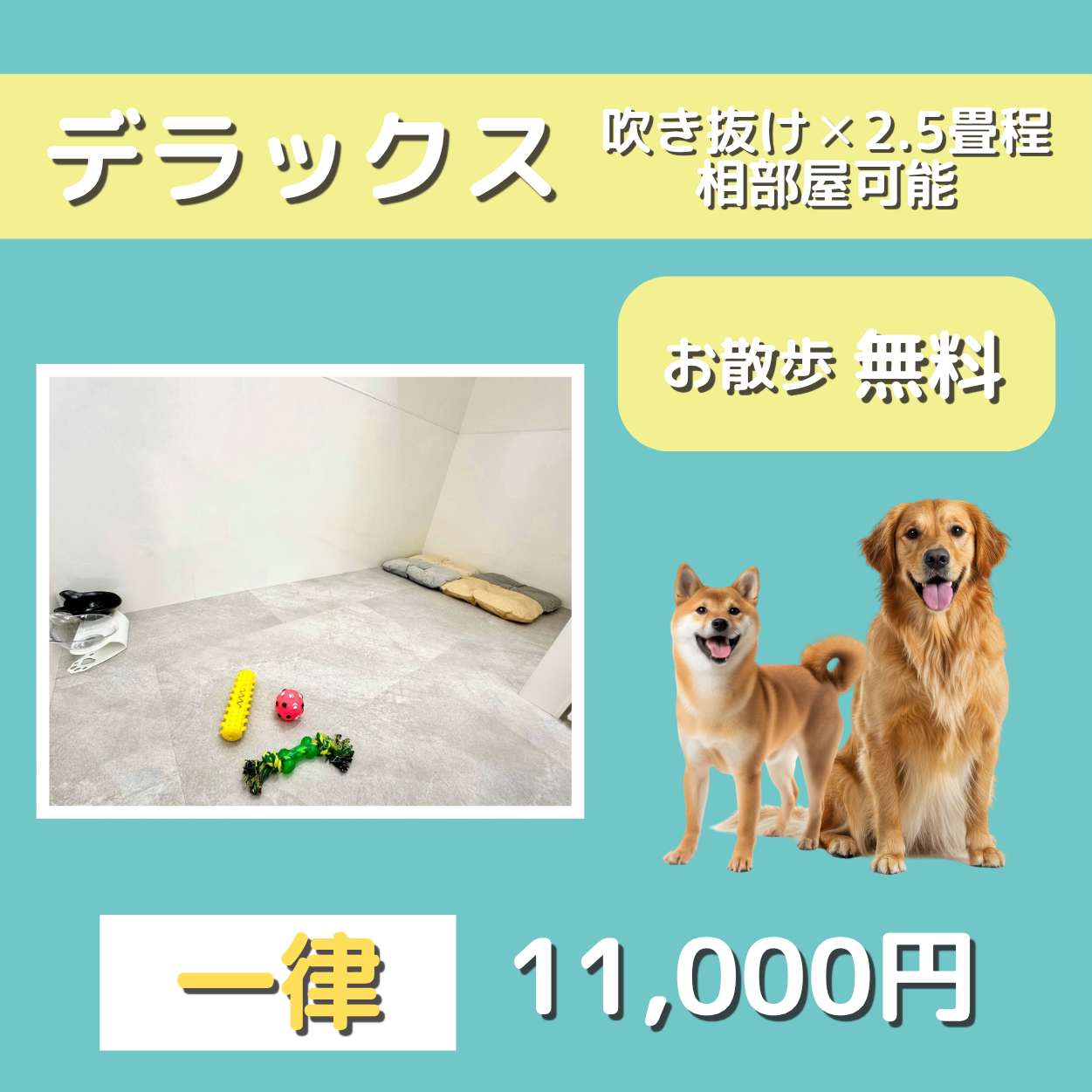 ペットホテル デラックス 吹き抜け2.5畳程 相部屋可能 一律 ¥11,000 お散歩無料