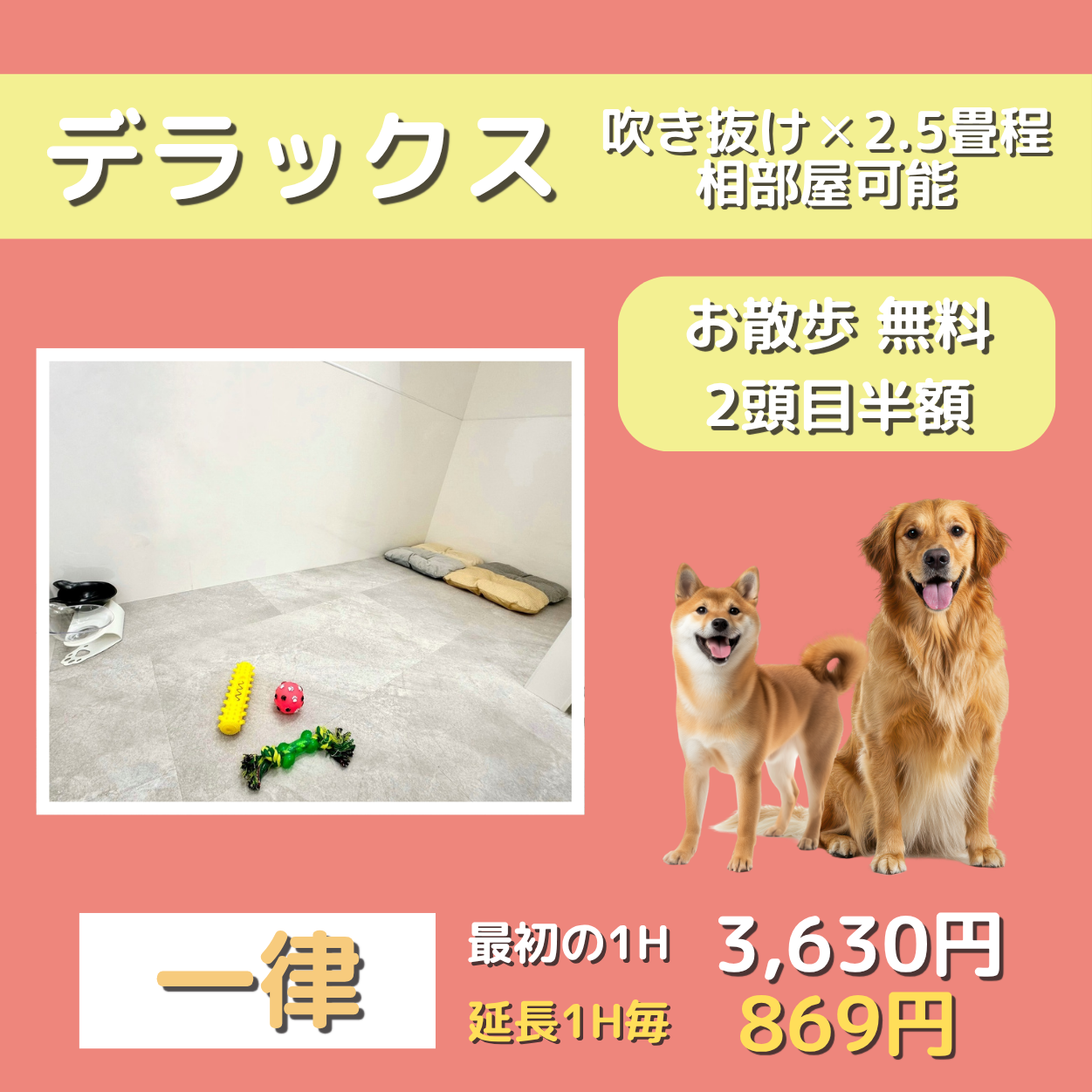 ペットホテル デラックス 吹き抜け2.5畳程 相部屋可能 お散歩無料 一律￥3,630 延長￥869
