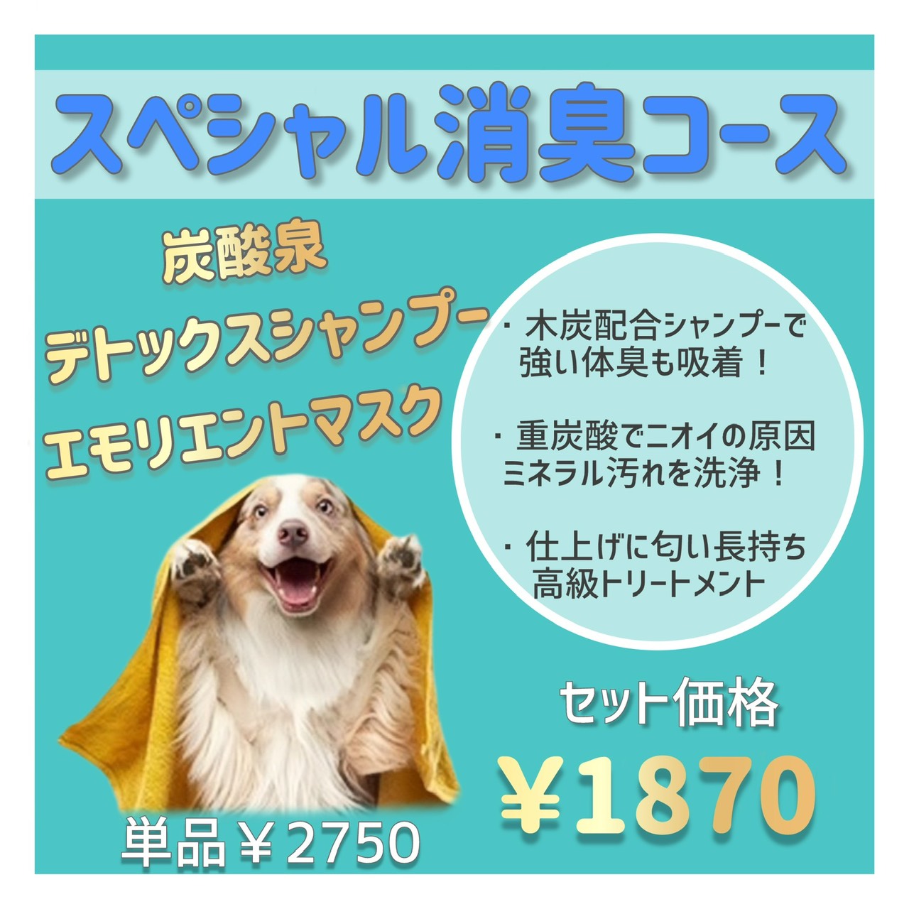 スペシャル消臭コース エモリエントマスク＋重炭酸イオン温浴＋Detoxシャンプー 1,980円