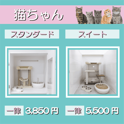 ペットホテル 猫ちゃん スタンダード 一律￥3,850 スイート 一律￥5,500