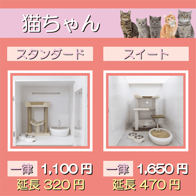 ペットホテル 猫ちゃん スタンダード 一律￥1,100  延長￥320 スイート 一律￥1,650  延長￥470