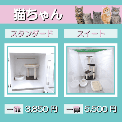 ペットホテル 猫ちゃん スタンダード 一律￥3,850 スイート 一律￥5,500