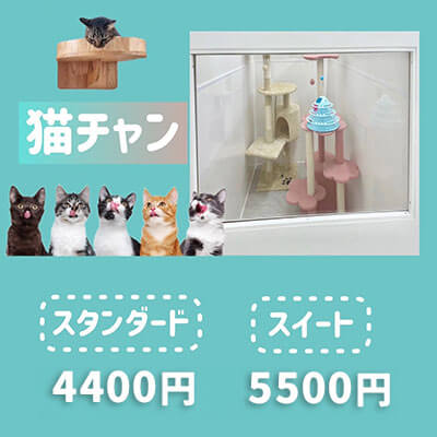 ペットホテル 猫ちゃん スタンダード￥4,400 スイート￥5,500