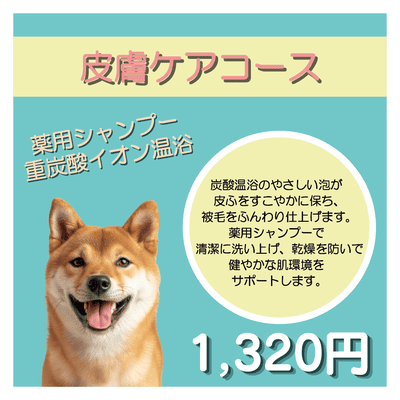 皮膚ケアコース 薬用シャンプー＋重炭酸イオン温浴 1,320円