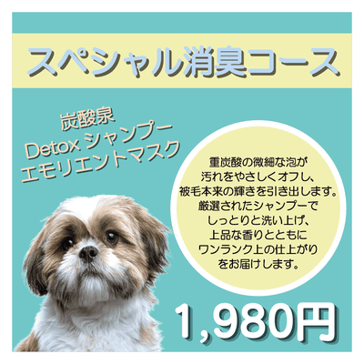スペシャル消臭コース エモリエントマスク＋炭酸泉＋Detoxシャンプー 1,980円