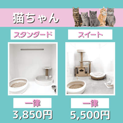 ペットホテル 猫ちゃん スタンダード 一律￥3,850 スイート 一律￥5,500