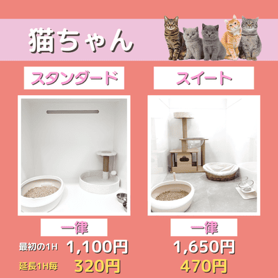 ペットホテル 猫ちゃん スタンダード 一律￥1,100  延長￥320 スイート 一律￥1,650  延長￥470